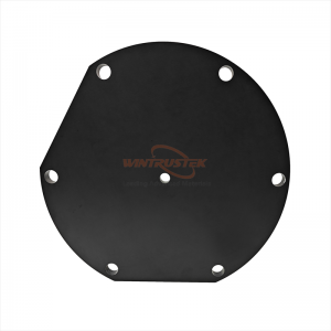 Hochreine 99,5 % Borcarbid-Keramikscheibe für die Neutronenabsorption